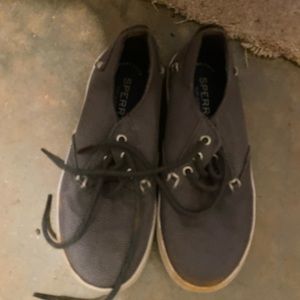 Sperry Bodie Tan Sneaker Little Boys 13